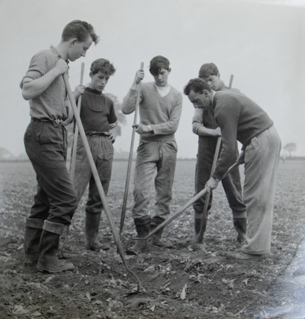 Agriculture lecturer and students on the Easton estate (1950s).