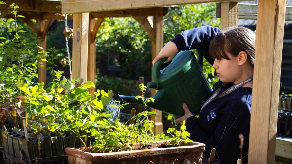 A Ticket student watering plants in the Growing Grounds tree nursery.